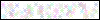 Auth Image